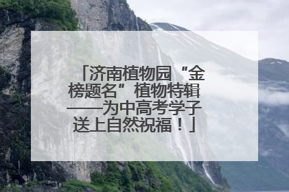 济南植物园“金榜题名”植物特辑——为中高考学子送上自然祝福！