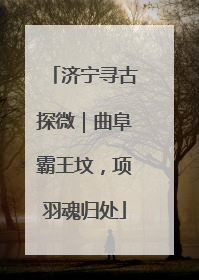 济宁寻古探微｜曲阜霸王坟，项羽魂归处