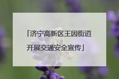济宁高新区王因街道开展交通安全宣传