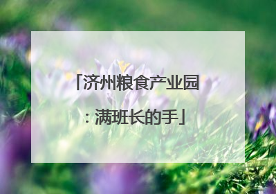 济州粮食产业园：满班长的手