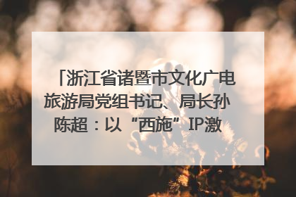 浙江省诸暨市文化广电旅游局党组书记、局长孙陈超：以“西施”IP激活全域旅游 打造县域文旅融合新标杆｜第七届全国县域旅游研究成果发布系列活动