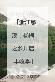 浙江慈溪：杨梅之乡开启丰收季