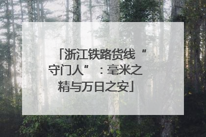 浙江铁路货线“守门人”：毫米之精与万日之安