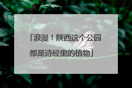 浪漫！陕西这个公园都是诗经里的植物