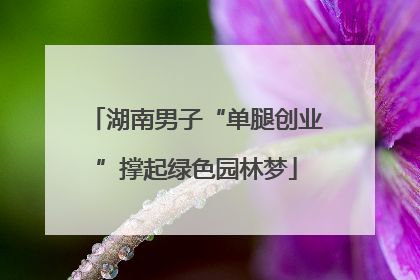 湖南男子“单腿创业”撑起绿色园林梦