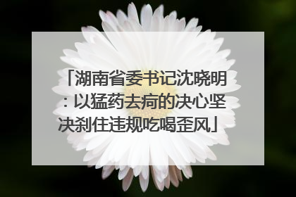 湖南省委书记沈晓明：以猛药去疴的决心坚决刹住违规吃喝歪风