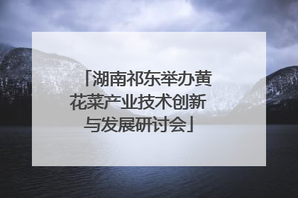 湖南祁东举办黄花菜产业技术创新与发展研讨会