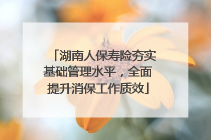 湖南人保寿险夯实基础管理水平，全面提升消保工作质效
