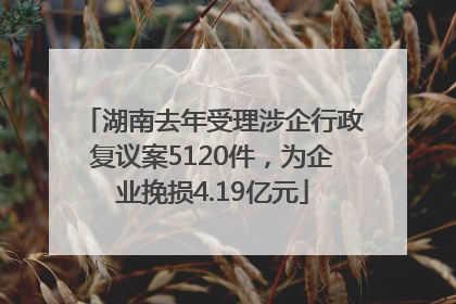 湖南去年受理涉企行政复议案5120件，为企业挽损4.19亿元