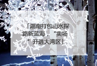 湖南打包山水探路新蓝海，“卖场”开进大湾区