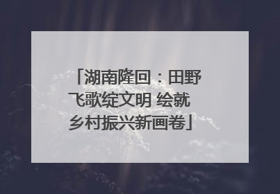 湖南隆回：田野飞歌绽文明 绘就乡村振兴新画卷