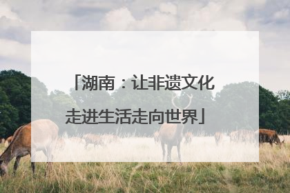 湖南：让非遗文化走进生活走向世界