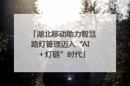 湖北移动助力智慧路灯管理迈入“AI＋灯链”时代
