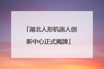 湖北人形机器人创新中心正式揭牌