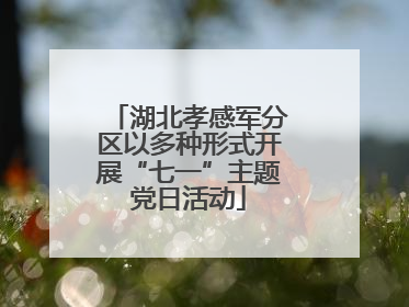 湖北孝感军分区以多种形式开展“七一”主题党日活动