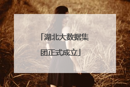 湖北大数据集团正式成立