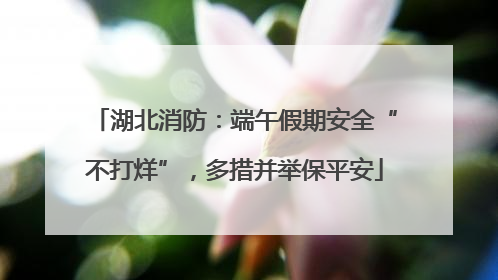 湖北消防：端午假期安全“不打烊”，多措并举保平安