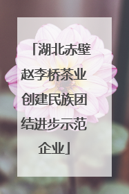 湖北赤壁赵李桥茶业创建民族团结进步示范企业