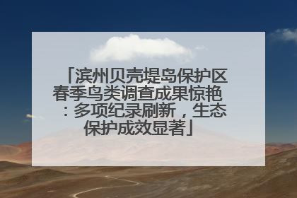滨州贝壳堤岛保护区春季鸟类调查成果惊艳：多项纪录刷新，生态保护成效显著