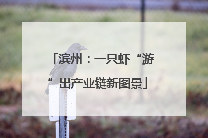滨州：一只虾“游”出产业链新图景