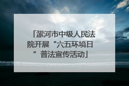 漯河市中级人民法院开展“六五环境日”普法宣传活动