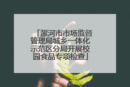 漯河市市场监督管理局城乡一体化示范区分局开展校园食品专项检查