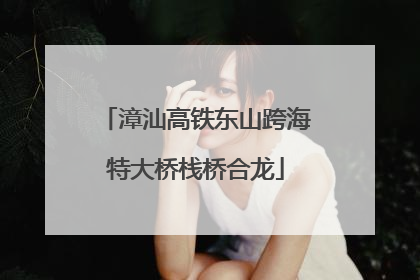 漳汕高铁东山跨海特大桥栈桥合龙