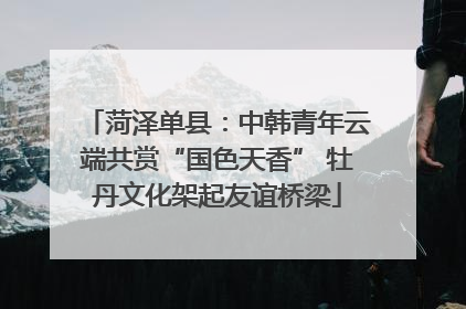 菏泽单县：中韩青年云端共赏“国色天香” 牡丹文化架起友谊桥梁