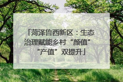 菏泽鲁西新区：生态治理赋能乡村“颜值”“产值”双提升