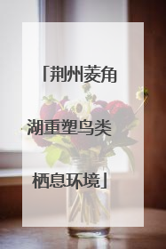 荆州菱角湖重塑鸟类栖息环境