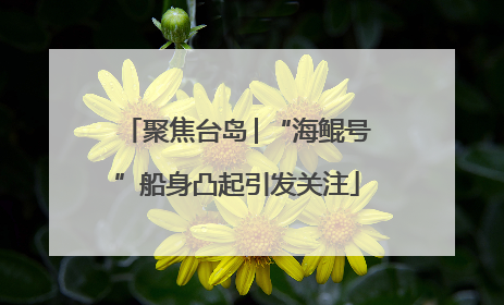 聚焦台岛│“海鲲号”船身凸起引发关注