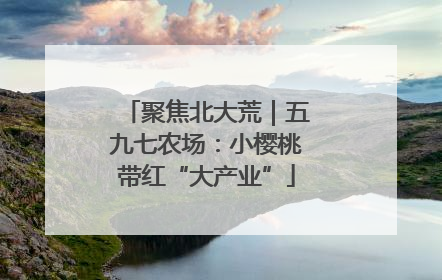 聚焦北大荒｜五九七农场：小樱桃带红“大产业”