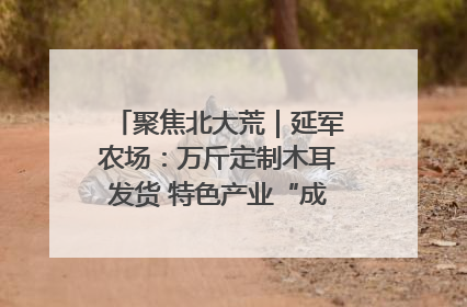 聚焦北大荒｜延军农场：万斤定制木耳发货 特色产业“成绩单”亮眼