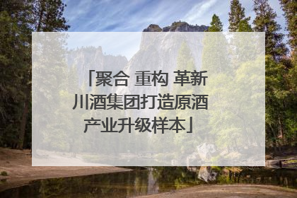 聚合 重构 革新 川酒集团打造原酒产业升级样本