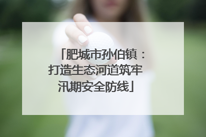 肥城市孙伯镇：打造生态河道筑牢汛期安全防线
