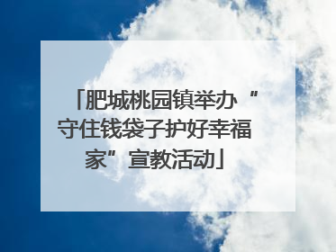 肥城桃园镇举办“守住钱袋子护好幸福家”宣教活动