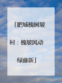 肥城槐树坡村：槐坡风动绿藤新