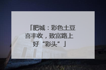 肥城：彩色土豆喜丰收，致富路上好“彩头”
