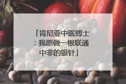 肯尼亚中医博士：我愿做一根联通中非的银针