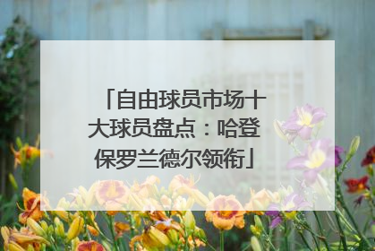 自由球员市场十大球员盘点：哈登保罗兰德尔领衔