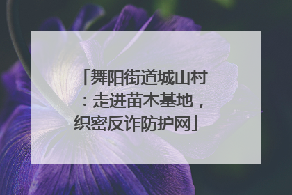 舞阳街道城山村：走进苗木基地，织密反诈防护网