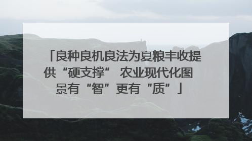 良种良机良法为夏粮丰收提供“硬支撑” 农业现代化图景有“智”更有“质”