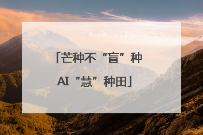 芒种不“盲”种 AI“慧”种田