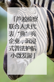 芦淞检察联合人大代表“典”亮企业，沉浸式普法护航小微发展