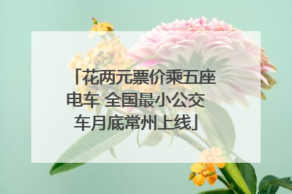 花两元票价乘五座电车 全国最小公交车月底常州上线