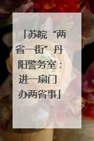 苏皖“两省一街”丹阳警务室：进一扇门 办两省事
