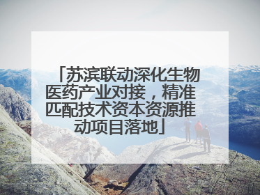 苏滨联动深化生物医药产业对接，精准匹配技术资本资源推动项目落地