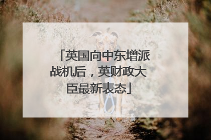 英国向中东增派战机后，英财政大臣最新表态