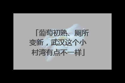 葡萄初熟、厕所变新，武汉这个小村湾有点不一样