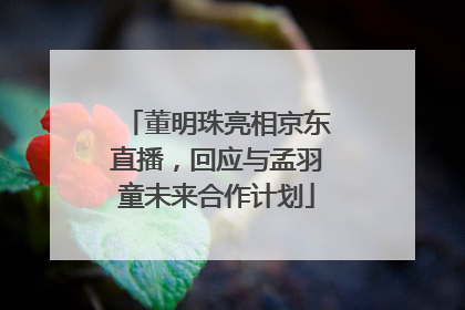 董明珠亮相京东直播，回应与孟羽童未来合作计划